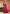 OUR NEW PREMIUM DESIGNER SAREE COLLECTION 27017