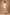 MEN's KURTA WITH BOTTOM COLLECTIONS MKB5313
