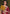 Rooh Gulnar saree border and detailing