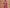 bandhani-shimmer-mirror-silk-saree-frontend-view
