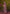rooh-firdaus-subtle-floral-saree-full-view