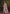 rooh-nazakat-zari-border-saree-full-view