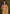 rooh-noor-festive-designer-saree-border-detail