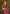 rooh-riyaa-vibrant-party-saree-border-detail