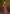 rooh-riyaa-vibrant-party-saree-full-view
