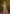 rooh-roshni-shimmer-saree-detailed-view