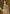 rooh-roshni-shimmer-saree-fabric-detail