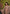 rooh-shahi-riwaz-heavy-saree-close-up