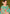 rooh-tara-contemporary-saree-detailed-view