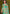 rooh-tara-contemporary-saree-fabric-detail